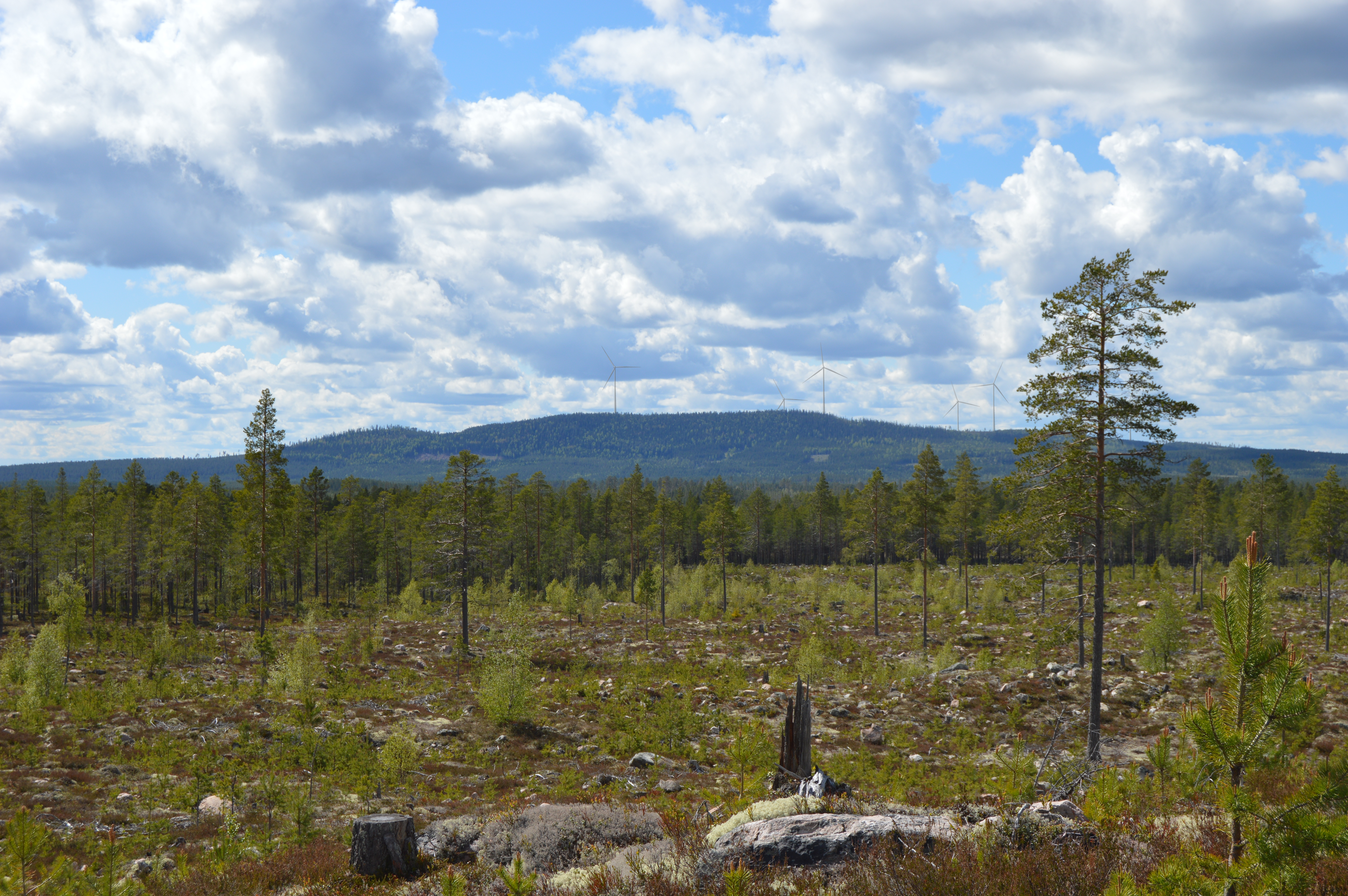 Borveggen Trysil sett fra Rörbacksnäs